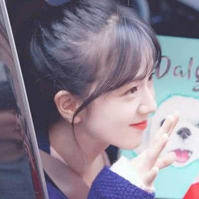 半岛官方下载入口